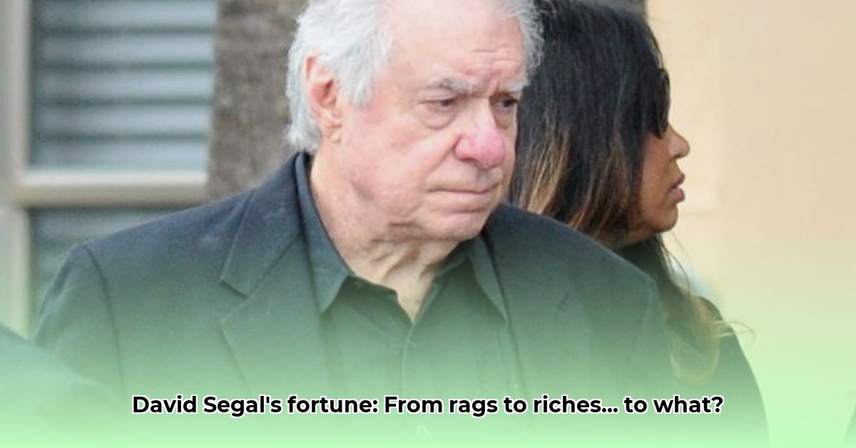 david-segal-net-worth